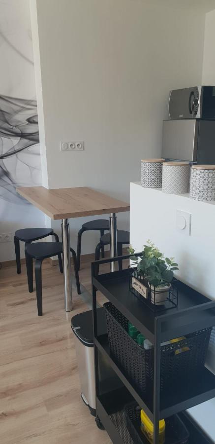 Apartmán Cosy T2-Gare De Grenoble Exteriér fotografie